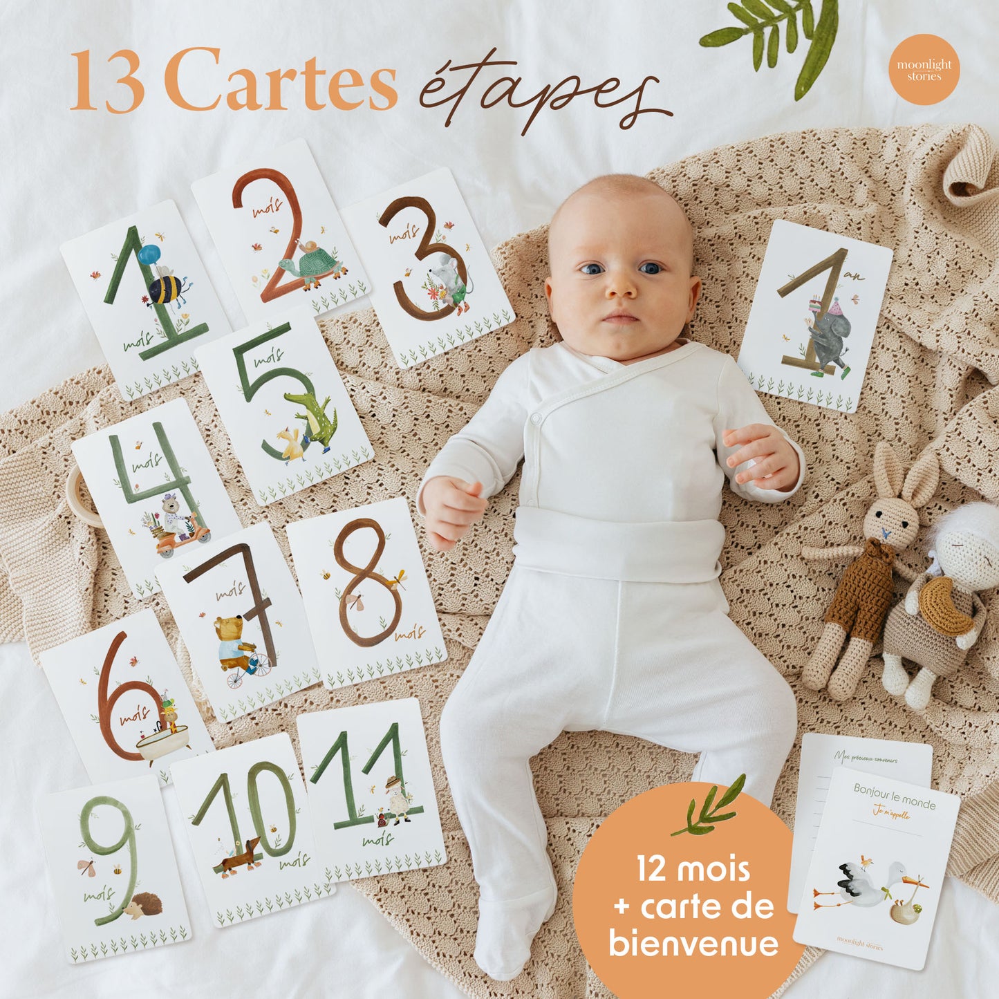 Coffret livre de naissance et cartes étapes