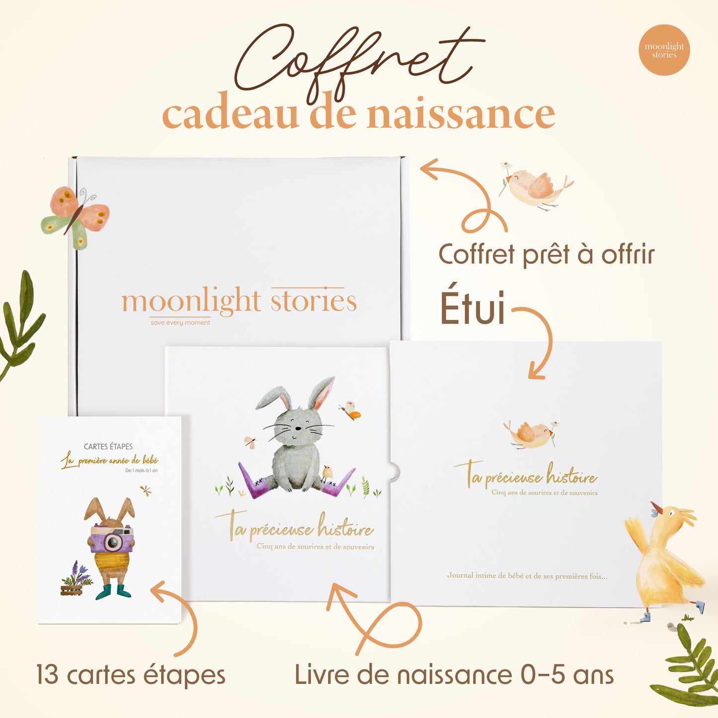 Coffret livre de naissance et cartes étapes